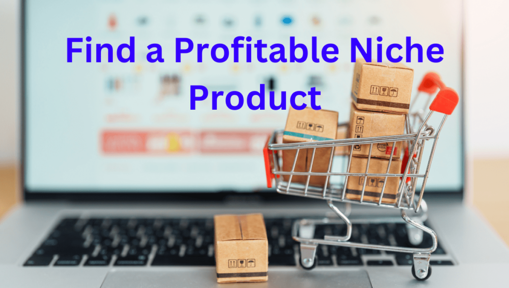 Find a Profitable Niche